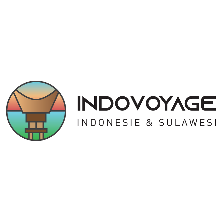 Indovoyage