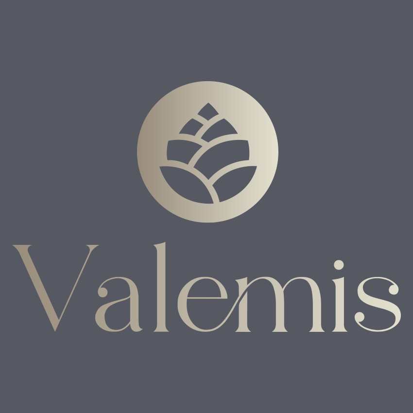 logo_valemis_grey